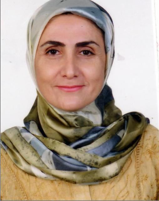 Hanan El Haj Ali