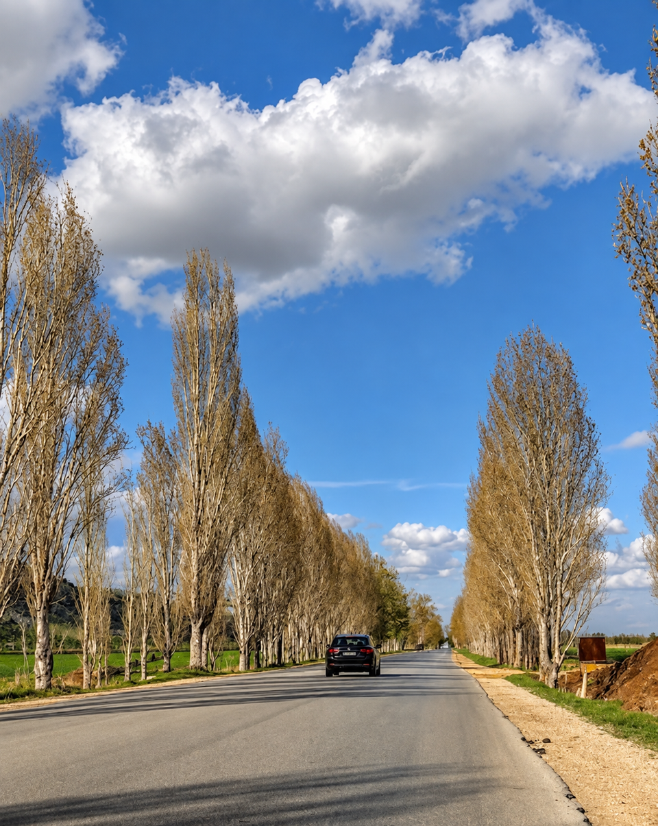 Countryside